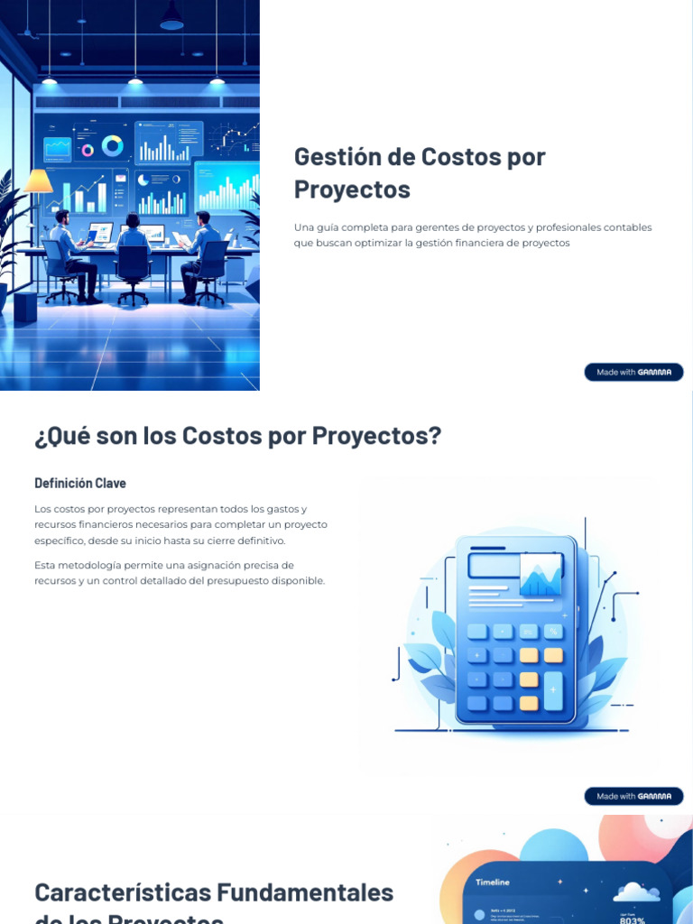 Optimización de Costos en Proyectos | PDF | Presupuesto | Tasa interna ...