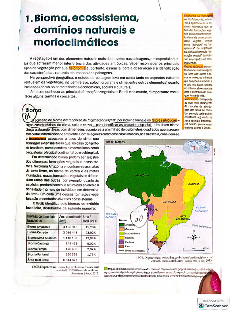Livro de Geo. Pags 213 a 231 | PDF