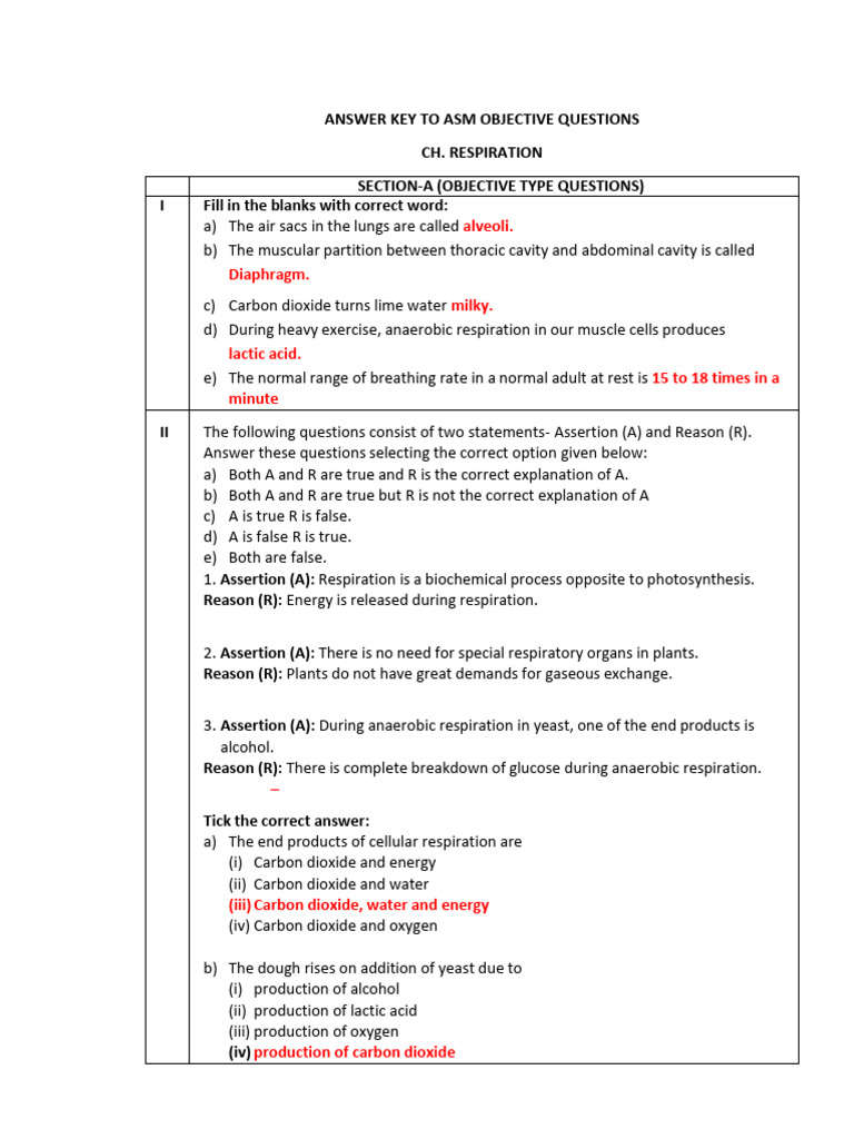 Answer Key to Asm Ch.respiration 2021-22 | PDF | Respiratory System ...