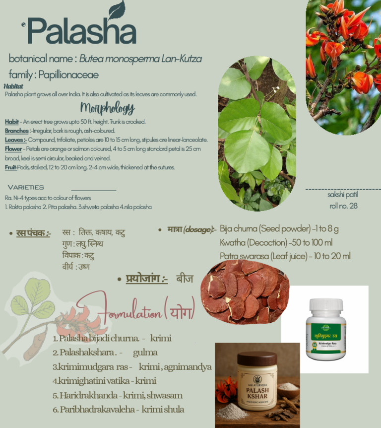 Palasha Plant: Uses and Varieties | PDF