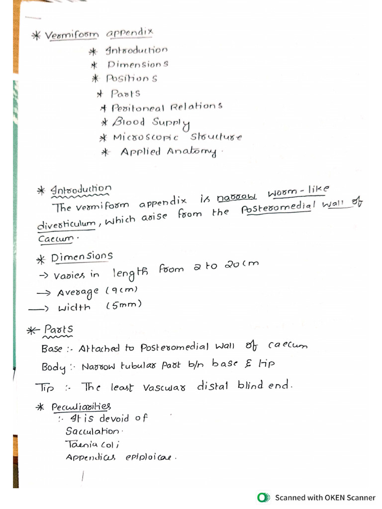 Vermiform Appendix | PDF