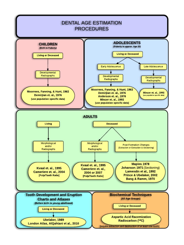 Dental Age Estimation Methods Overview | PDF | Medical Specialties | Mouth