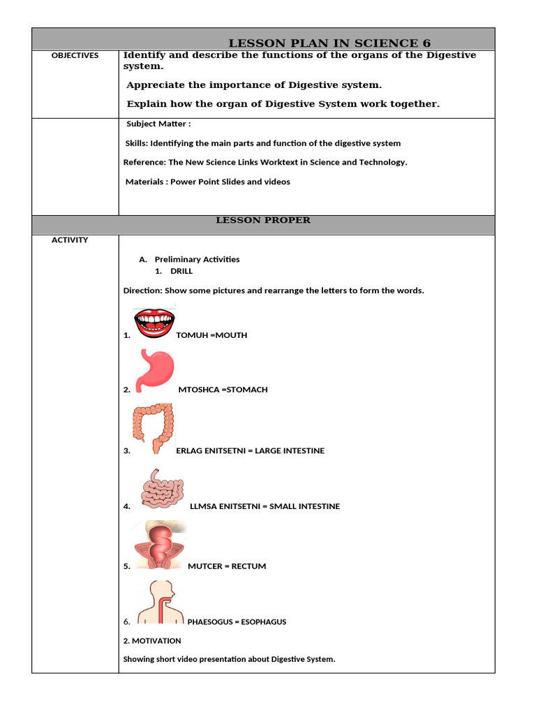 Digestive System Lesson Plan for Grade 6 | PDF | Human Digestive System ...