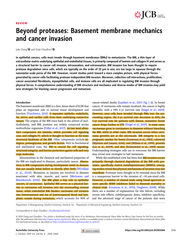 Basement Membrane Mechanics in Cancer | PDF | Viscoelasticity ...