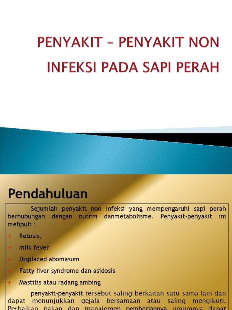 Penyakit Non Infeksius pada Sapi Perah | PDF | Memasak, Makanan, & Anggur