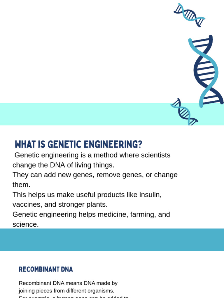 Understanding Genetic Engineering Basics | PDF