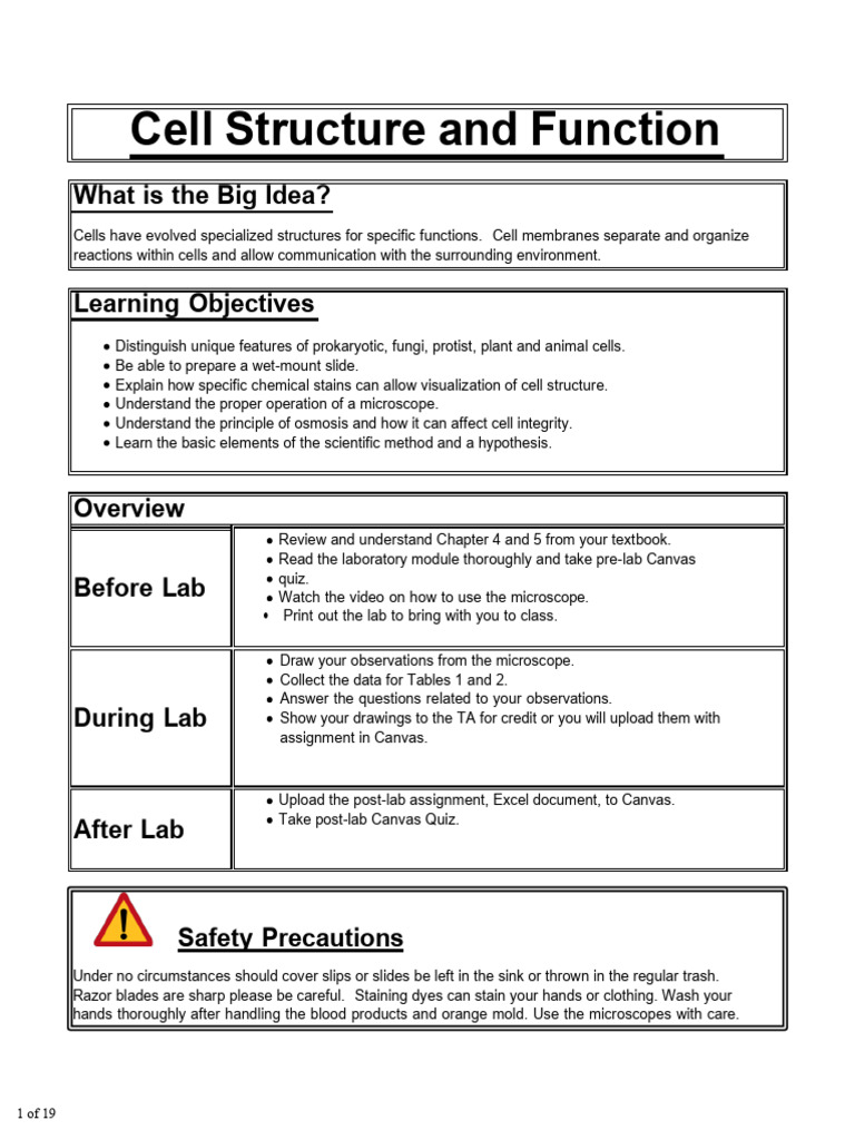 Cell Structure and Microscopy Lab Guide | PDF | Eukaryotes | Fungus