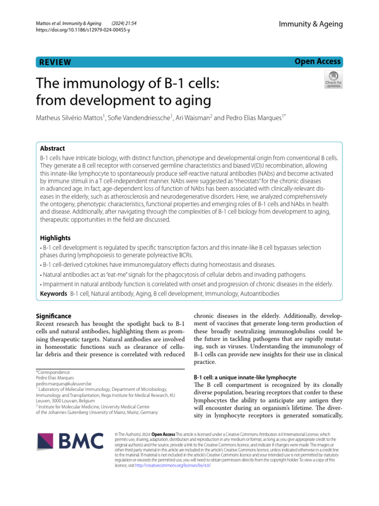 B-1 Cells and Natural Antibodies in Aging | PDF | Antibody | B Cell