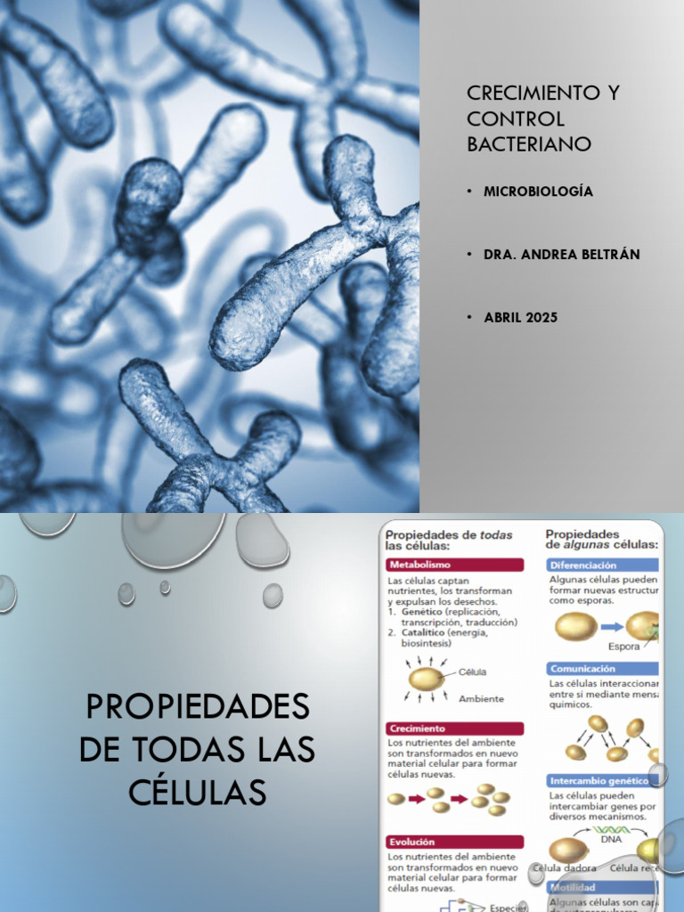 Crecimiento y Control Microbiano | PDF