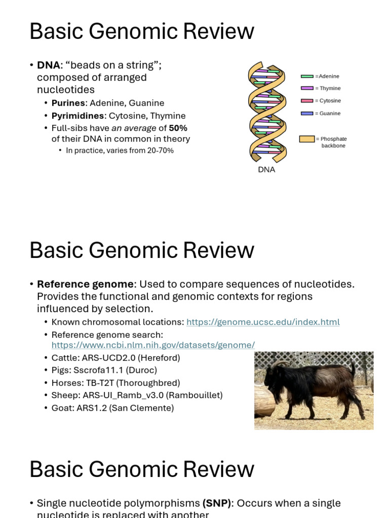 Understanding Basic Genomic Concepts | PDF