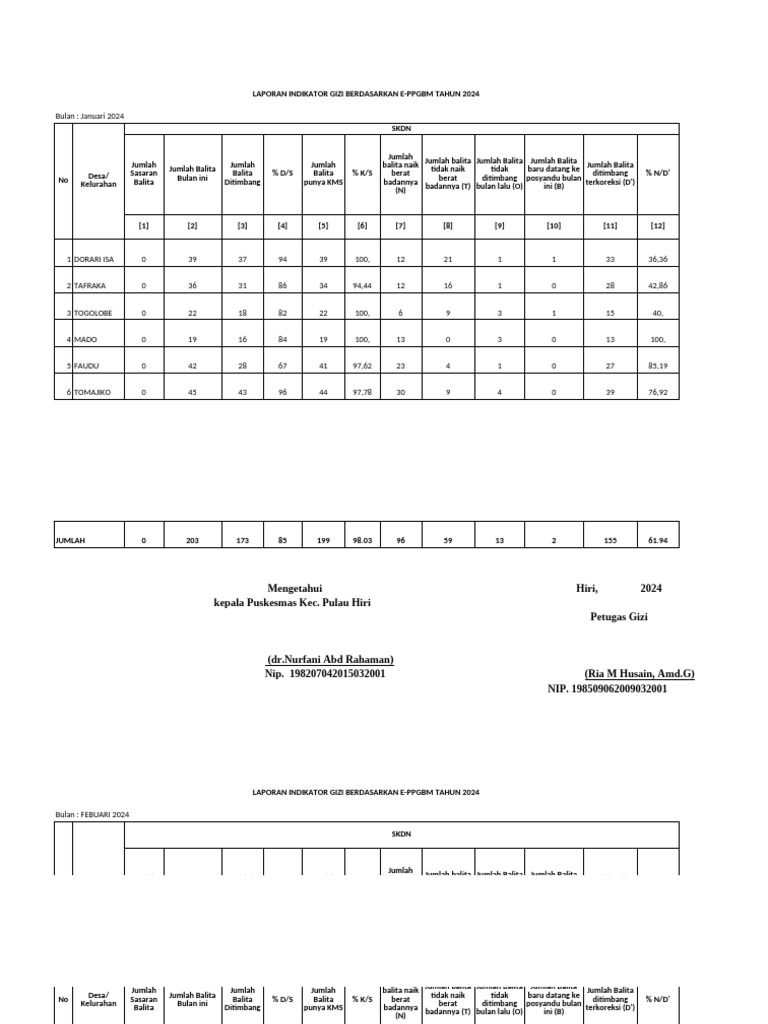 SKDN 2024 | PDF
