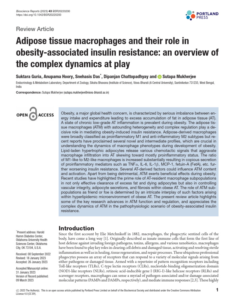 Adipose Macrophages in Insulin Resistance | PDF | Nf κb | Macrophage