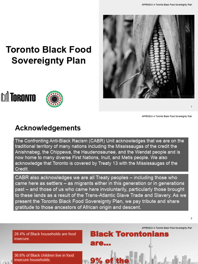 Toronto Black Food Sovereignty Plan | PDF | Food Security | Infrastructure