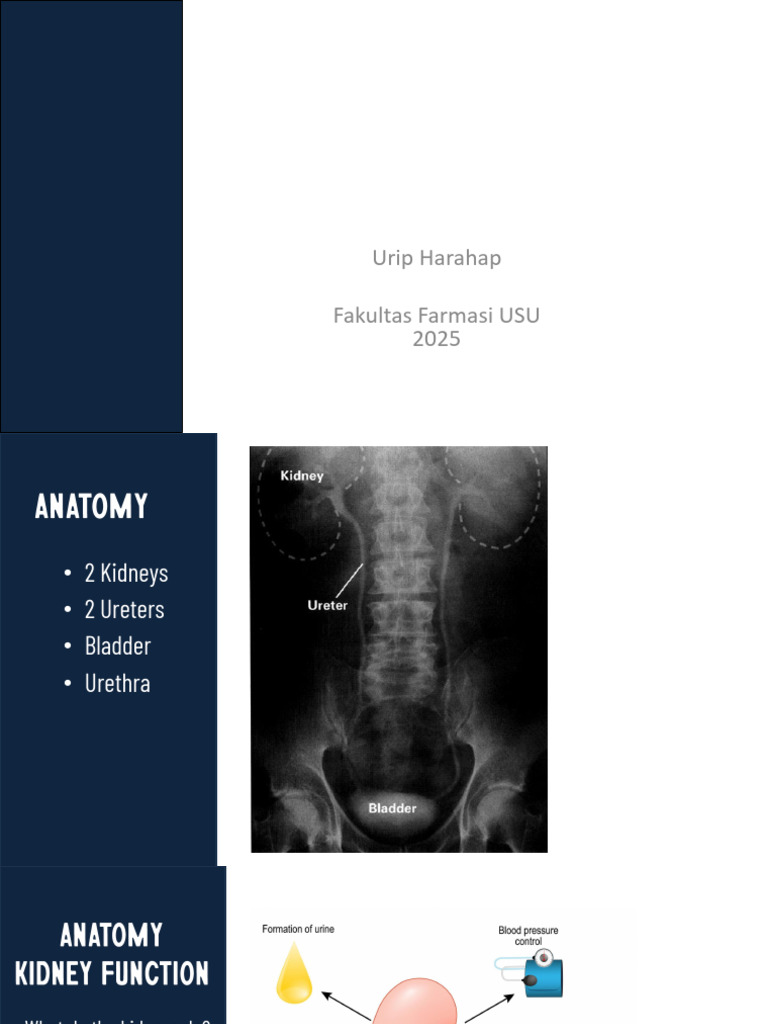 4. Kidney Disease (Prof. Urip) | PDF | Kidney | Chronic Kidney Disease