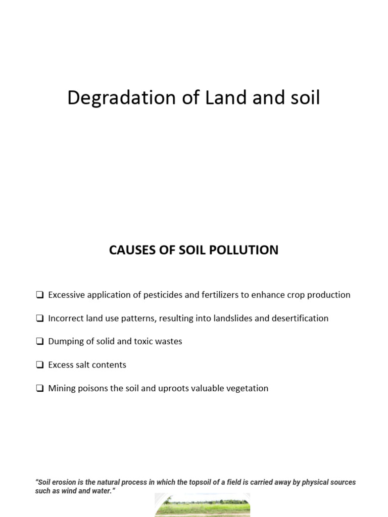 Soil Pollution and Solid Waste Management | PDF