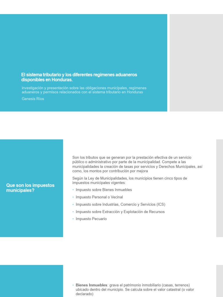 Rios Genesis Actividad#11 | PDF | aduana | Impuestos