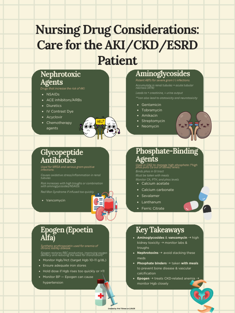 Nursing Care for AKI/CKD/ESRD Patients | PDF | Chronic Kidney Disease ...