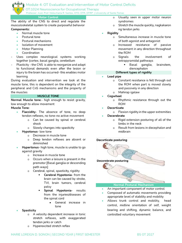 Motor Control Evaluation in OT | PDF | Neurology | Neuroscience