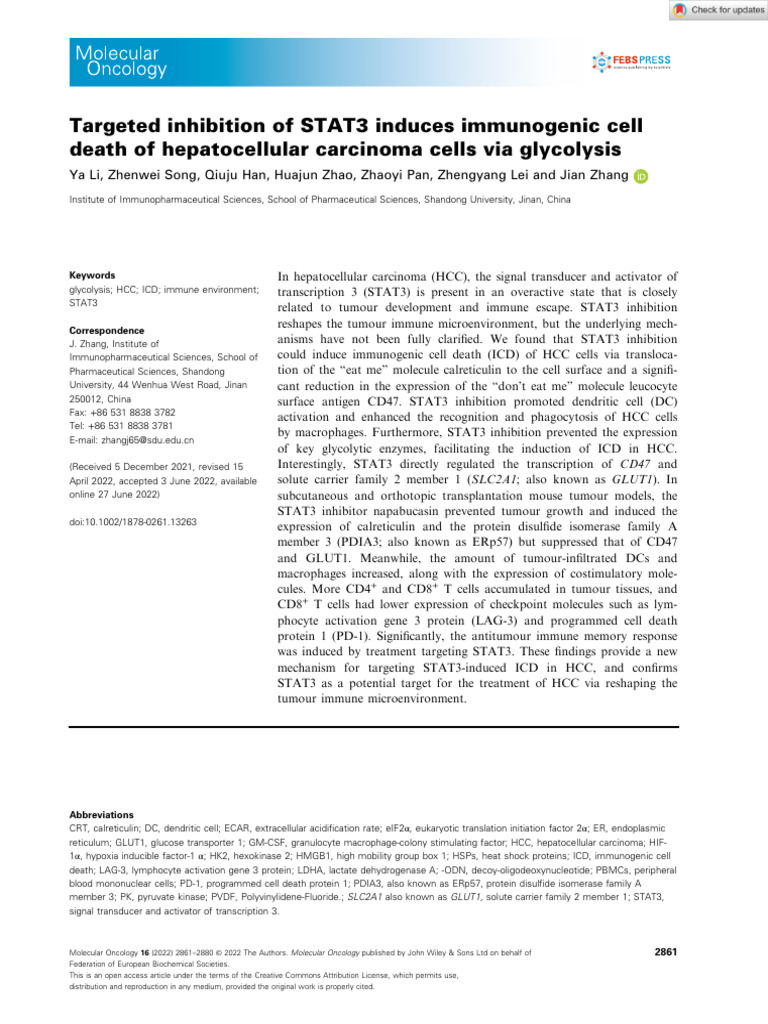 STAT3 Inhibition Induces Immunogenic Death in HCC | PDF | Complementary ...