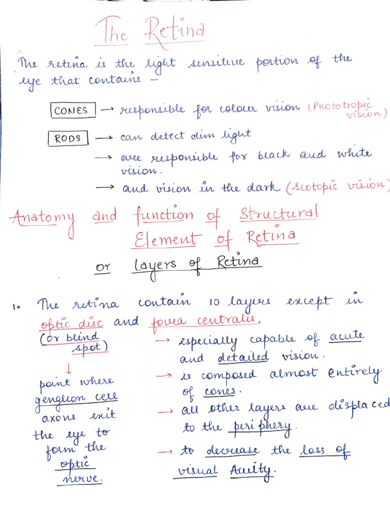 3.the Retina | PDF