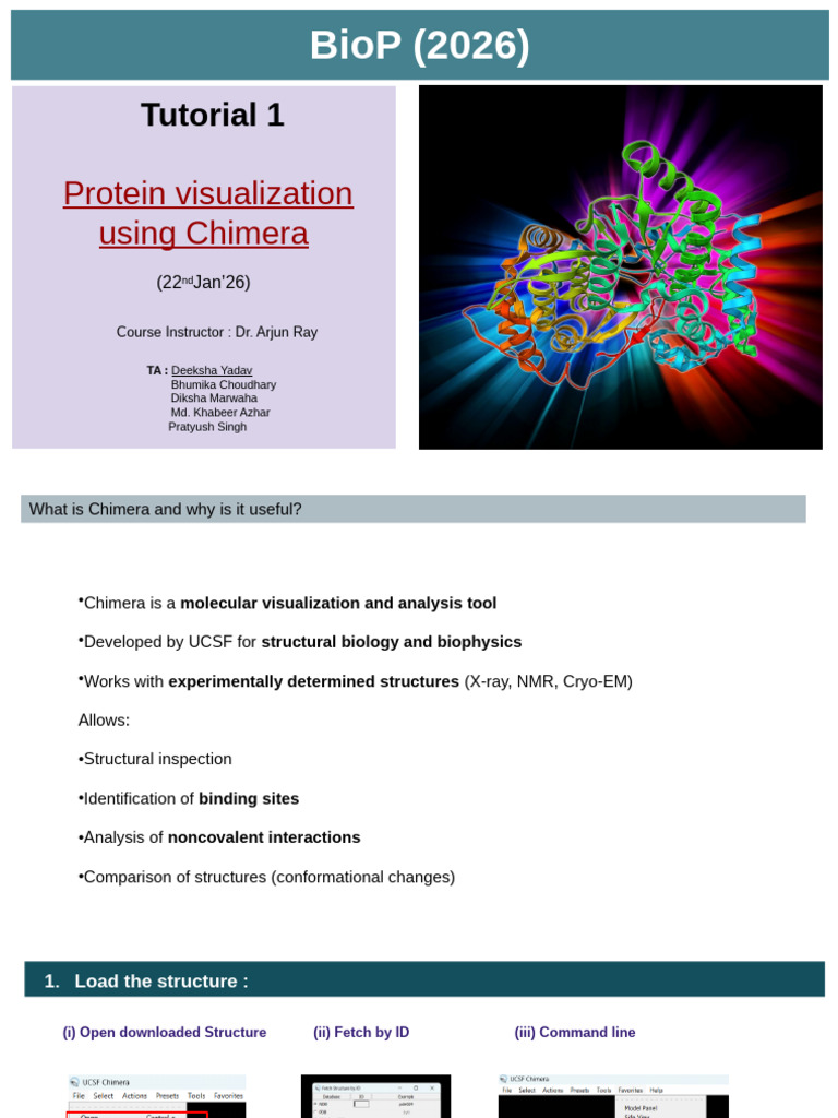 Protein Visualization Tutorial with Chimera | PDF | Cell Biology | Biology