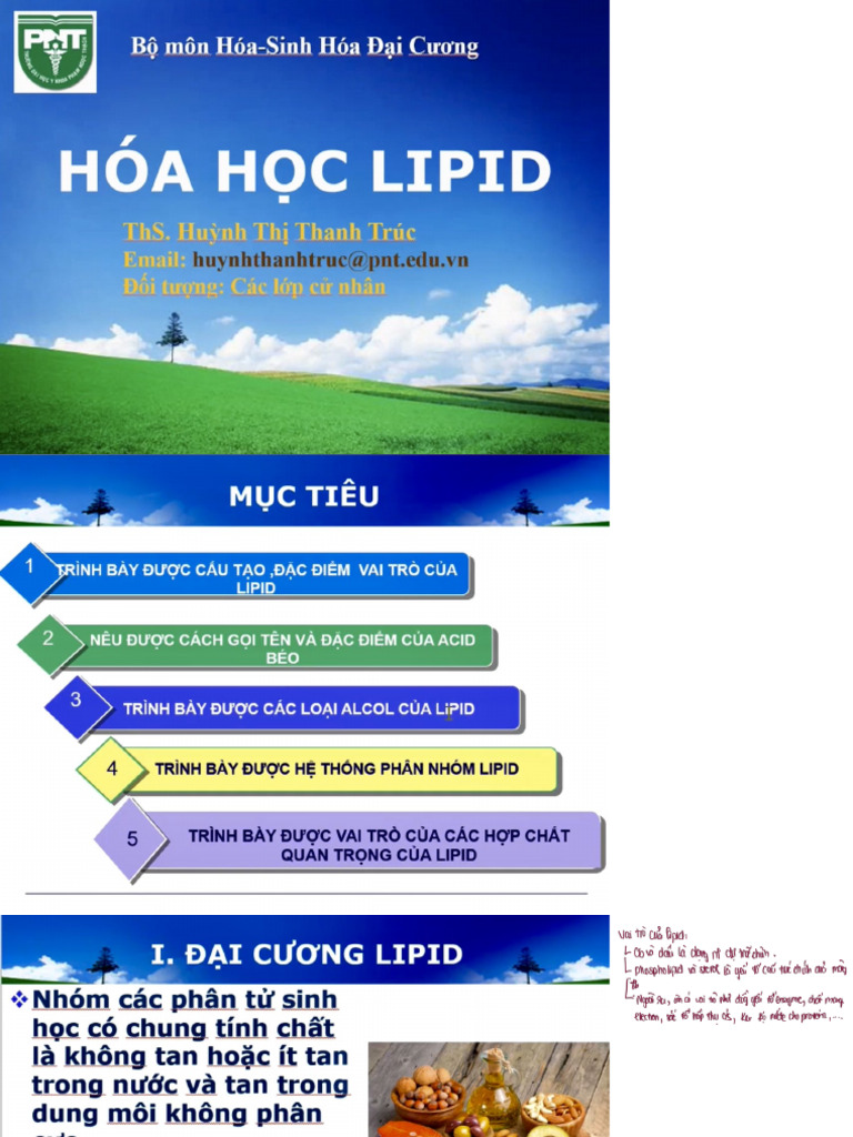 Lipid | PDF