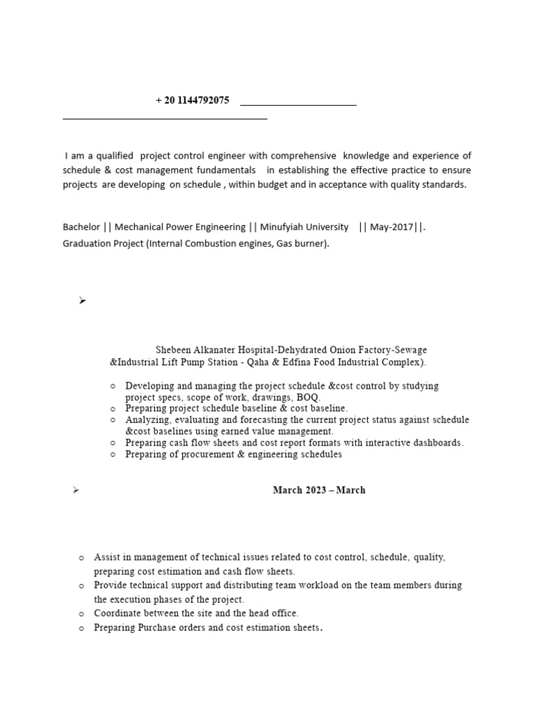 Project Control Engineer Profile | PDF