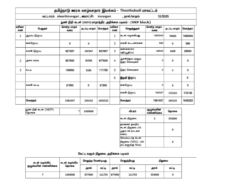 Financial Data Analysis Report | PDF