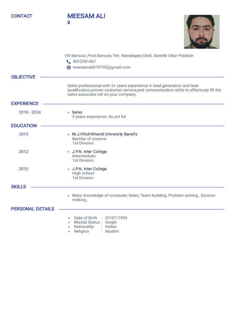 Sales Professional Resume - Meesam Ali | PDF