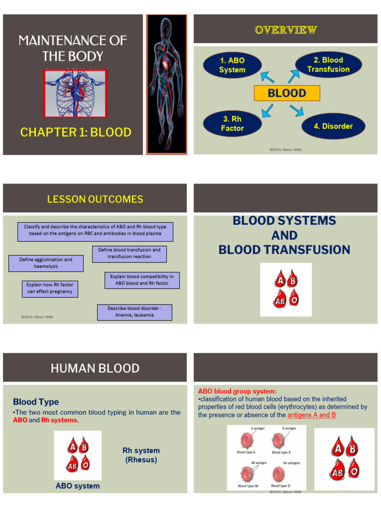 Blood Types, Transfusions, and Disorders | PDF | Blood Type | Blood ...