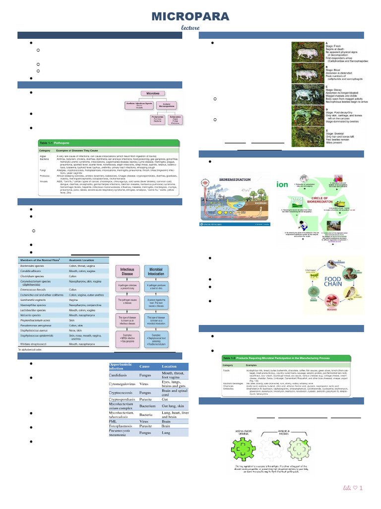 Introduction to Microbiology Concepts | PDF | Microorganism | Microscopy