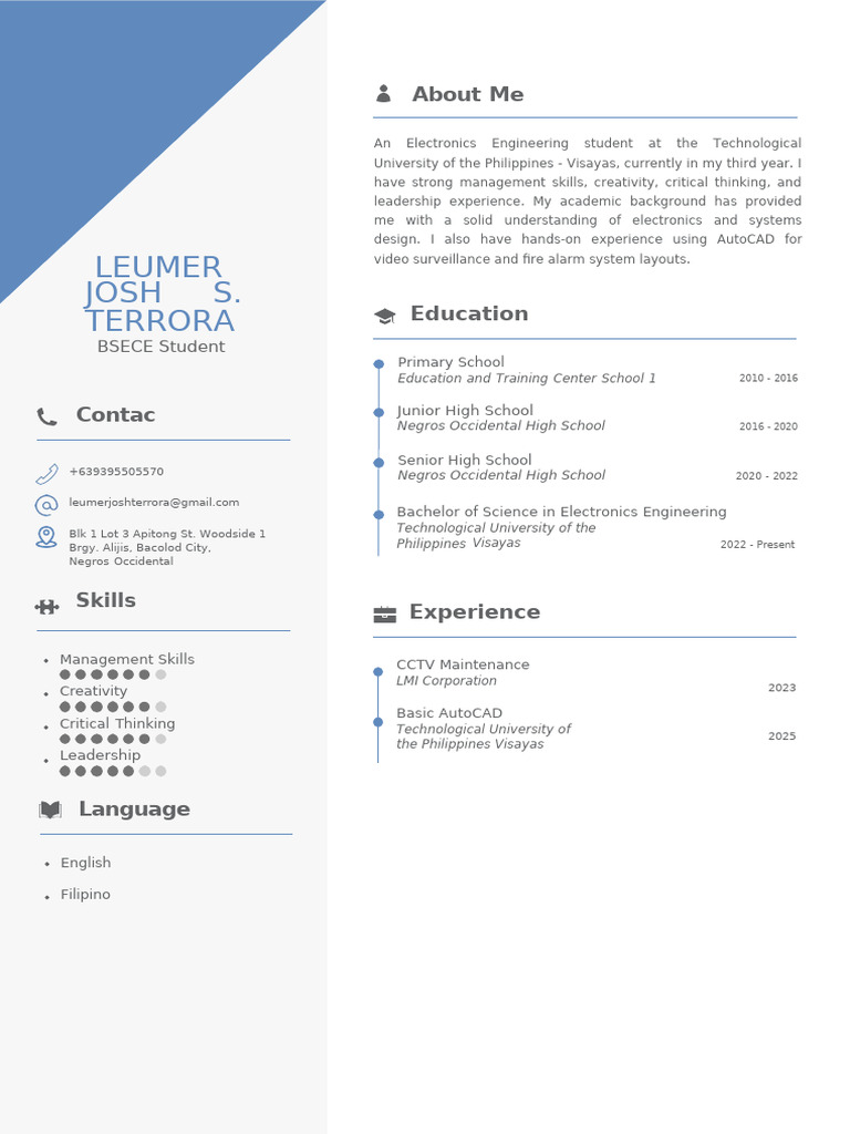 Electronics Engineering Student Profile | PDF