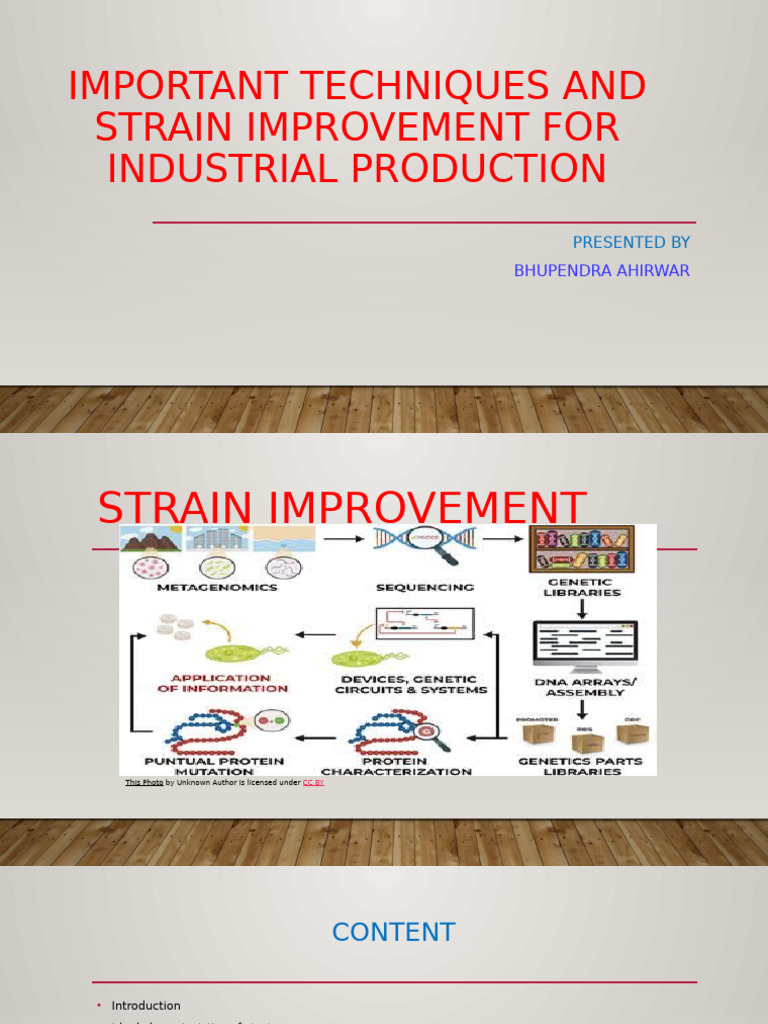 Techniques for Strain Improvement in Industry | PDF