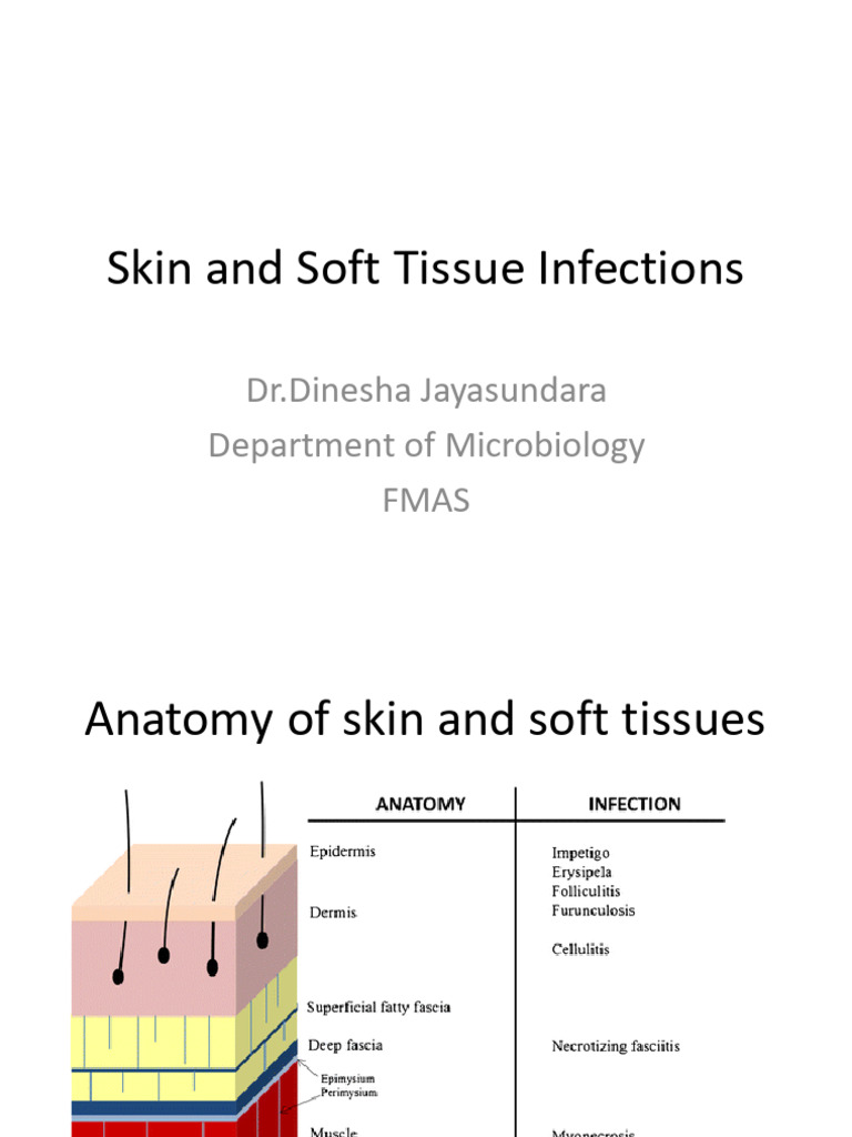 Skin and Soft Tissue Infection Overview | PDF | Skin | Dermatology