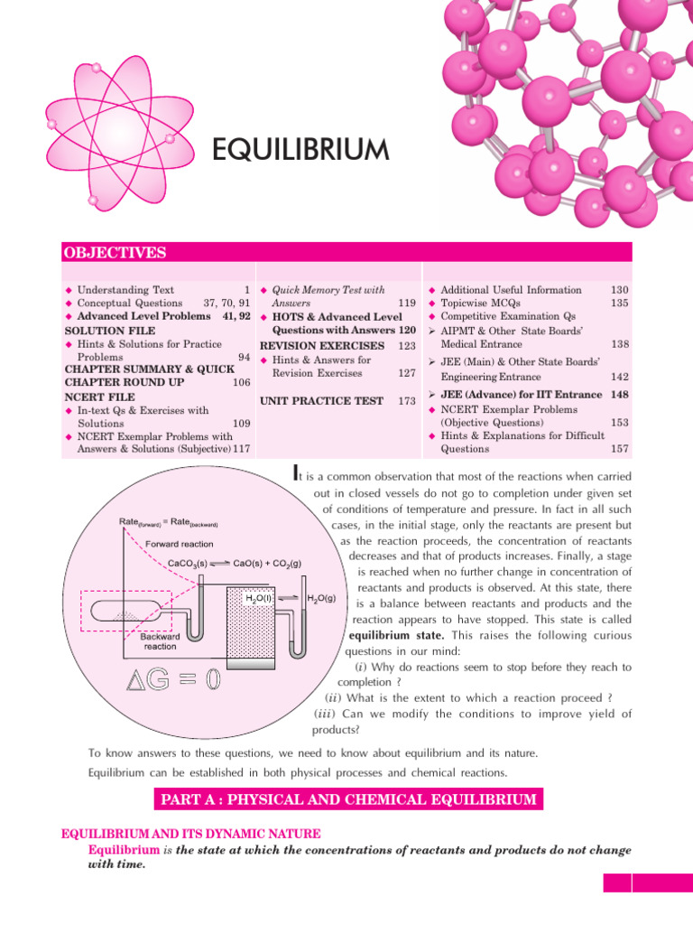 Understanding Chemical Equilibrium Concepts | PDF | Reaction Rate ...
