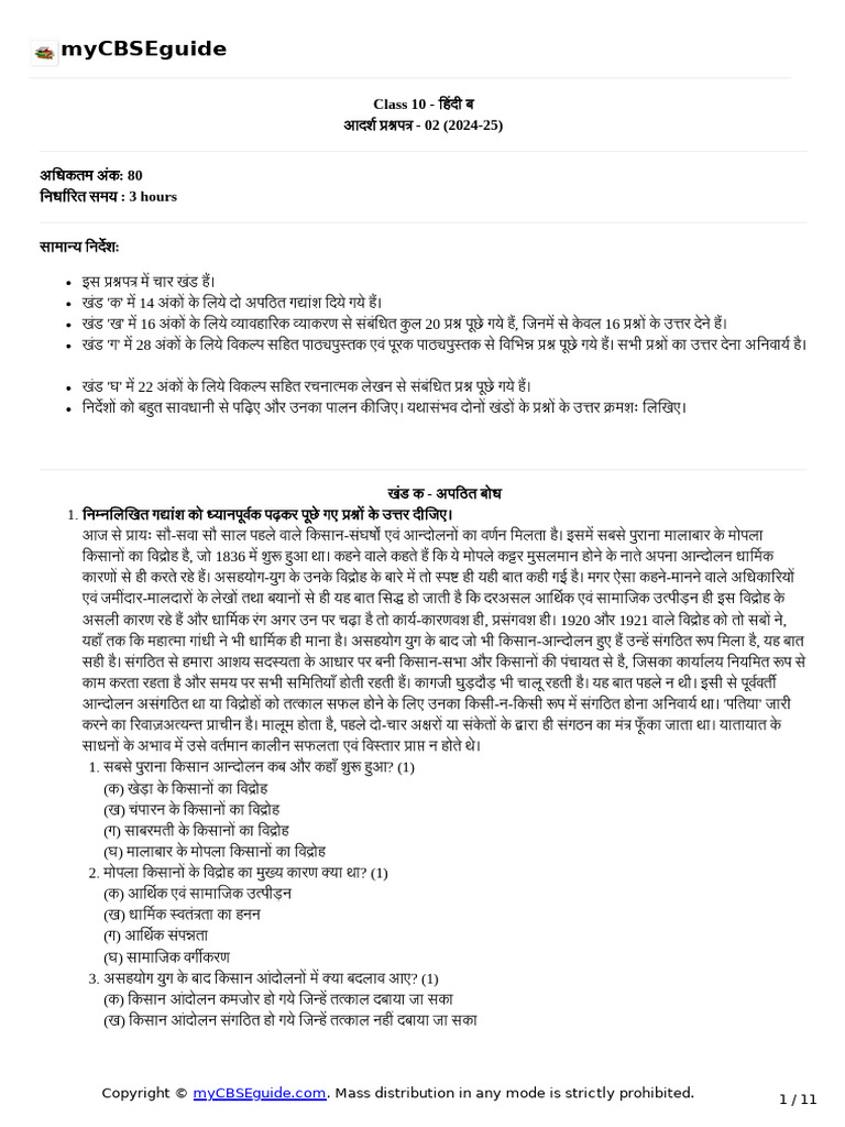 10 Hindi B SP 02 | PDF