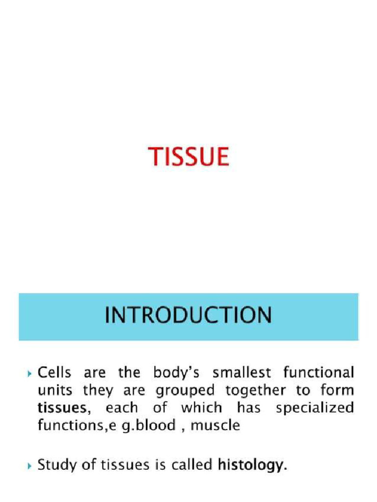 Tissue Anatomy | PDF