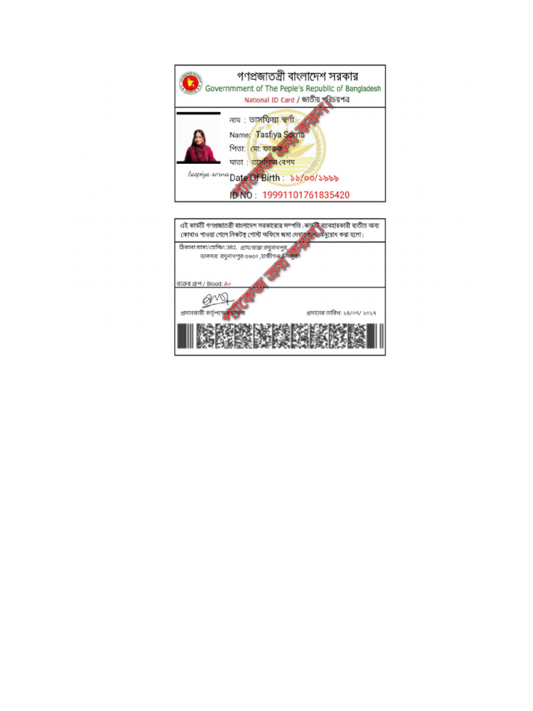 Nid Card | PDF