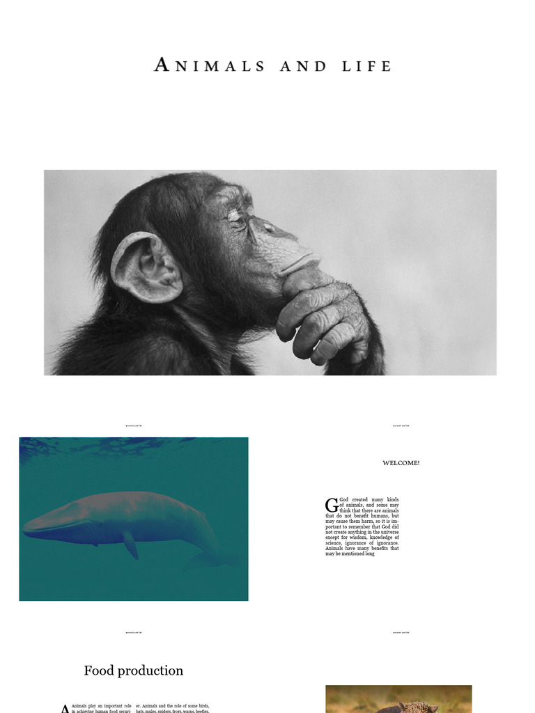 Nimals and Life | PDF | Foods | Bat