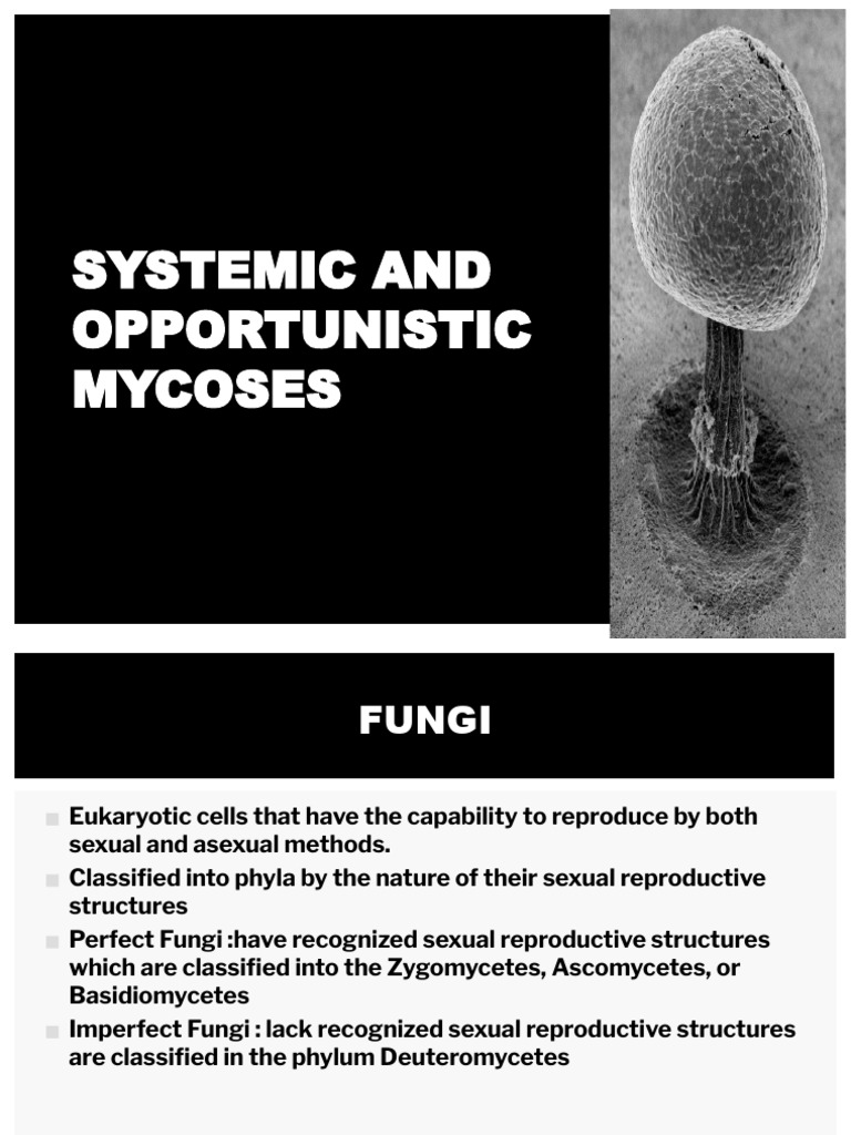 Mycoses: Types, Diagnosis, and Safety | PDF | Candidiasis | Fungus