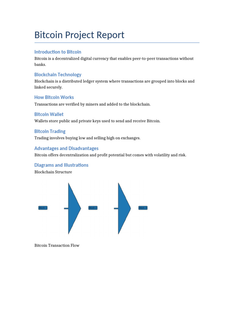 Bitcoin Project Overview and Insights | PDF