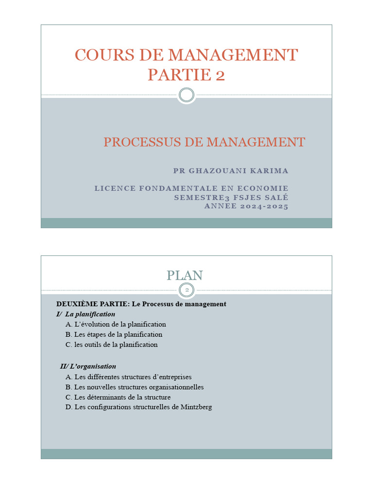 Processus de Management : Planification et Organisation | PDF ...