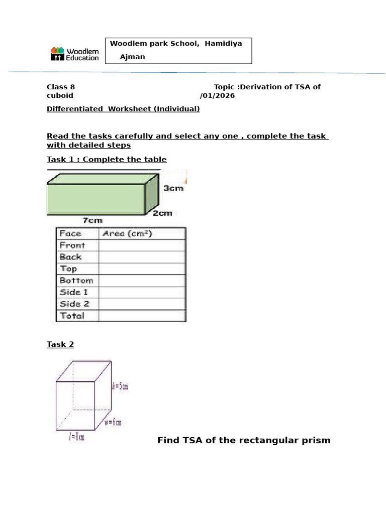 TSA of Cuboid: Worksheet & Cost Analysis | PDF