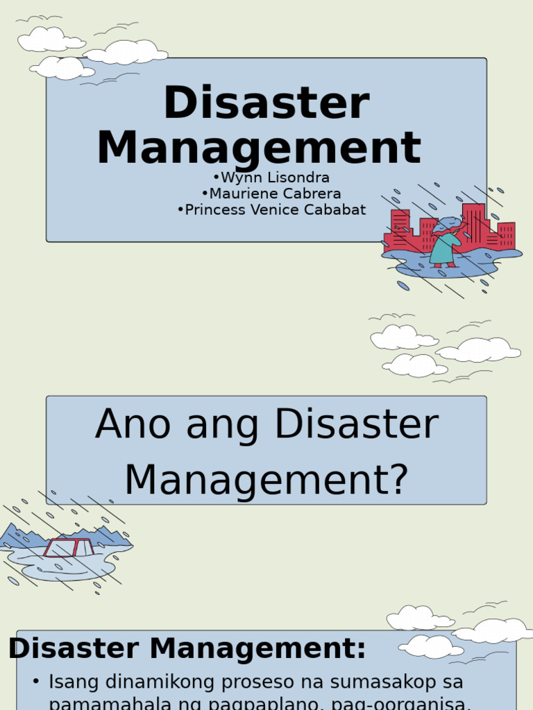 Disaster Management | PDF