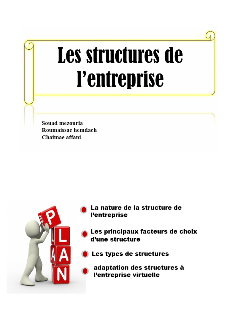 Choix et Types de Structures d'Entreprise | PDF | Business