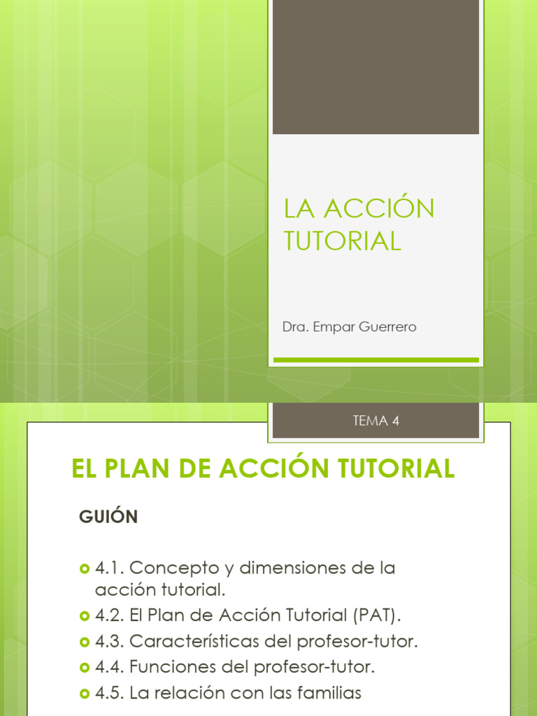Plan de Acción Tutorial en Educación | PDF | Maestros | Plan de estudios