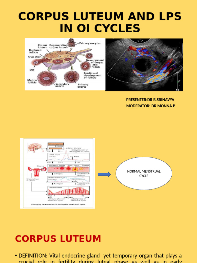 Corpus Luteum Function in Menstrual Cycle | PDF | Luteinizing Hormone ...