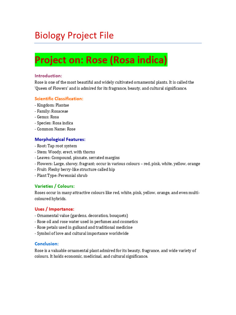Rosa Indica: Beauty and Significance | PDF