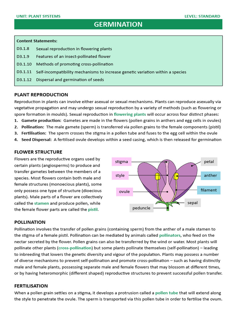 Plant Reproduction and Germination Guide | PDF | Flowers | Seed