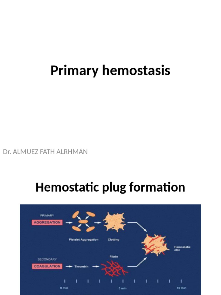 Understanding Primary Hemostasis Process | PDF